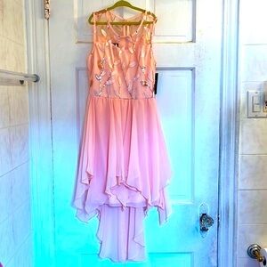 Bwear Pink Embellished High-Low Chiffon Party Dress in size 12